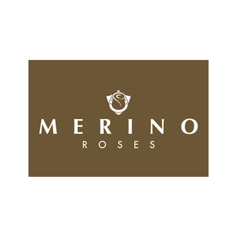 merino_roses_white